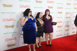 avn_2017_red_carpet_020